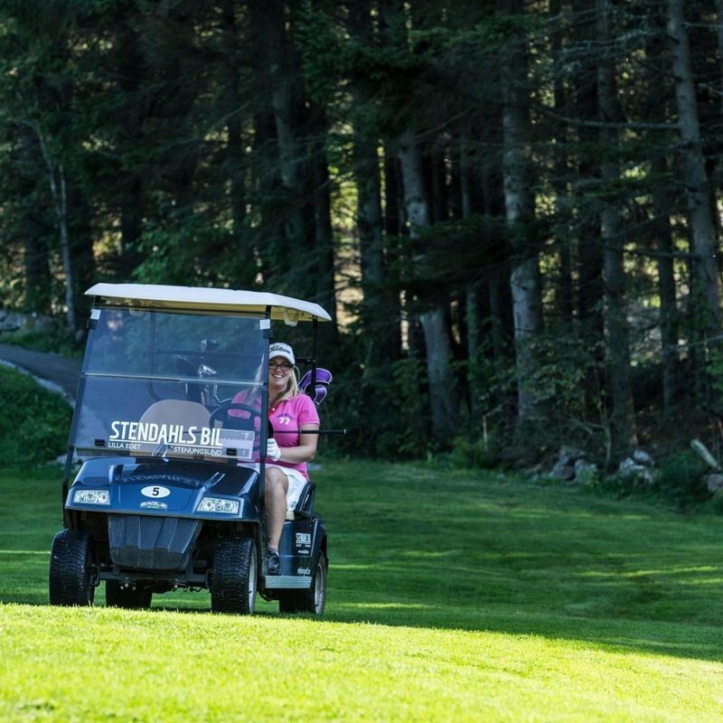 På grund av allt regn kan vi inte hyra ut golfbilar idag.