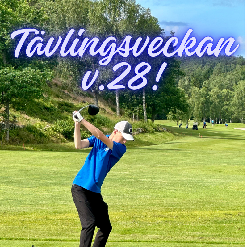 Tävlingsveckan v.28