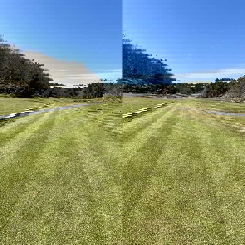 Banan öppnar på fredag