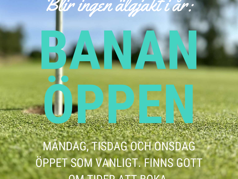 Öl