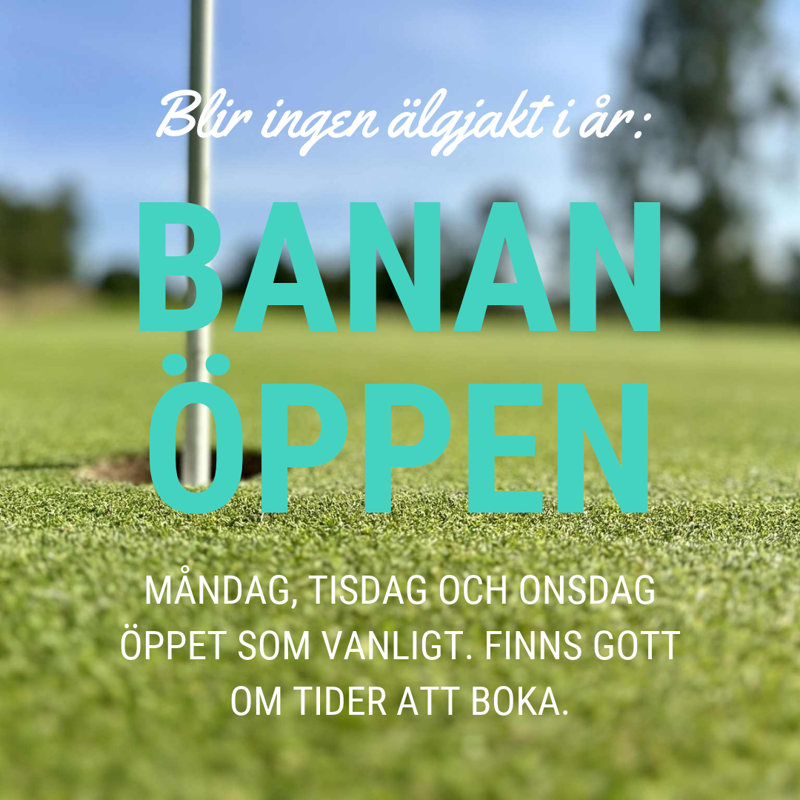 Ingen älgjakt i år